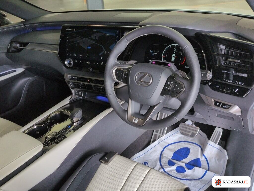 2025 Lexus RX 4WD F Sport 5