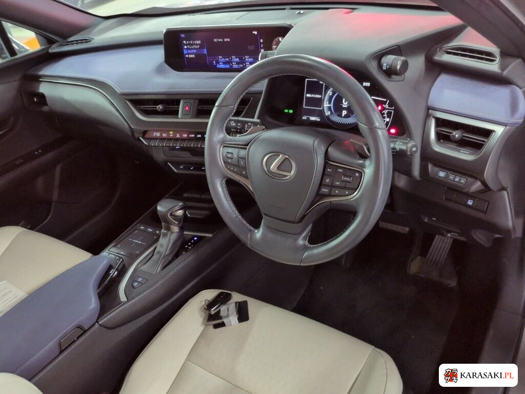 Lexus Ux 2021 z aukcji japońskiej