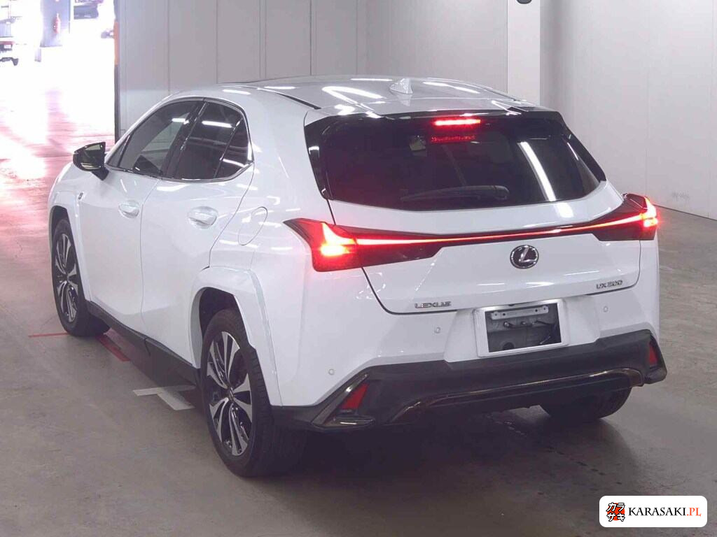 Lexus Ux 2022 z aukcji japońskiej