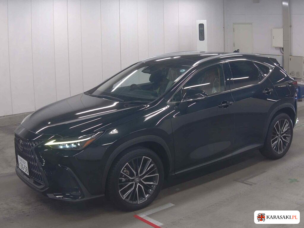 Lexus NX 2023 z aukcji japońskiej
