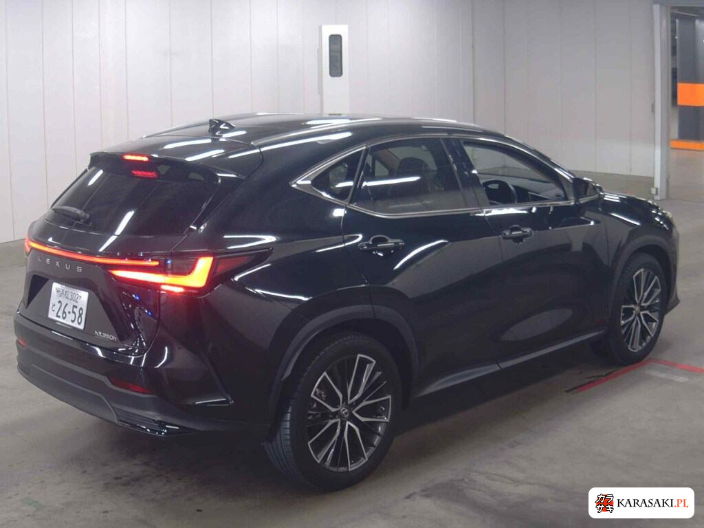 Lexus NX 2023 z aukcji japońskiej