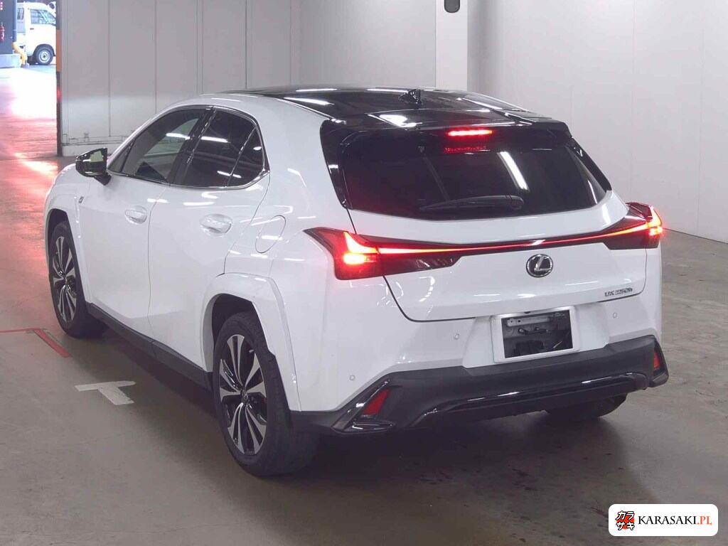 Lexus Ux 2023 z aukcji japońskiej