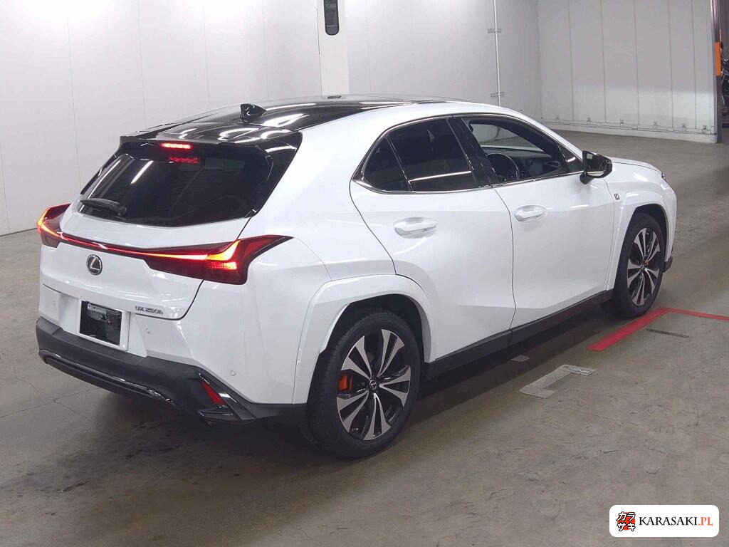 Lexus Ux 2023 z aukcji japońskiej