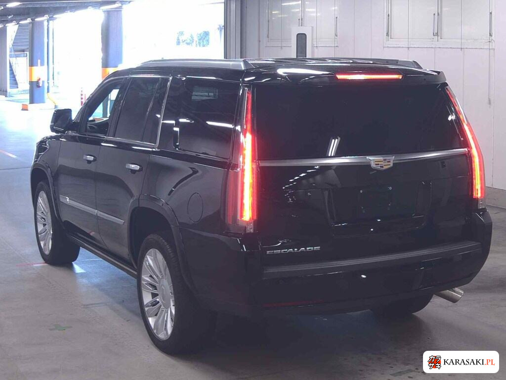 Cadillac Escalade 2016 z aukcji japońskiej