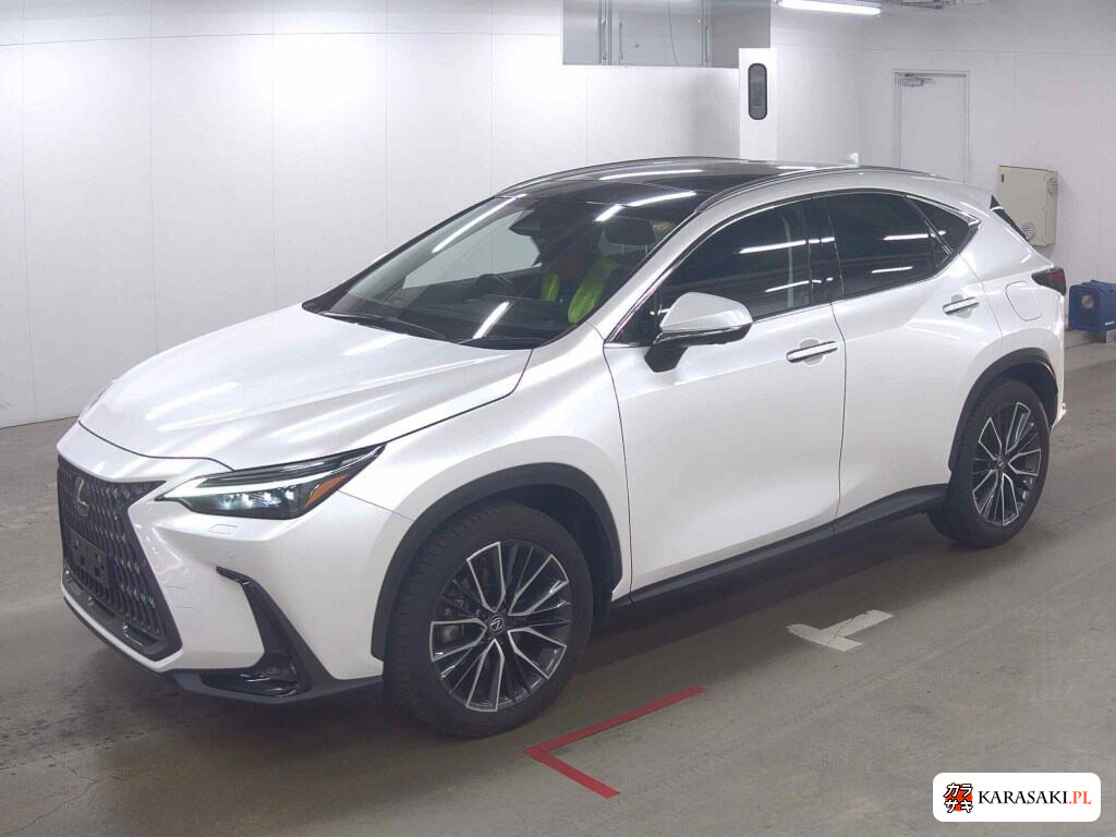 Lexus NX 2023 z aukcji japońskiej