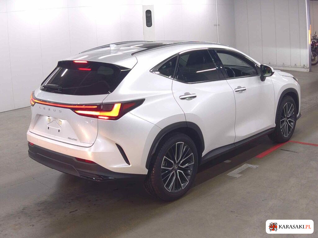 Lexus NX 2023 z aukcji japońskiej