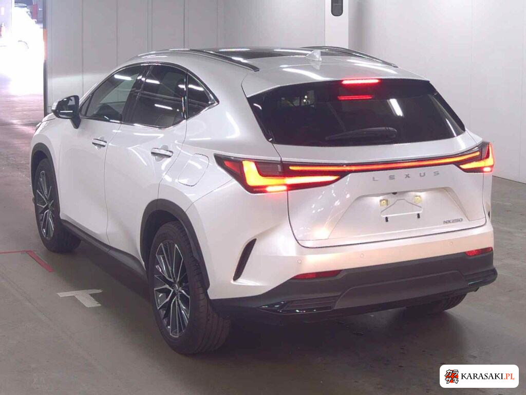 Lexus NX 2023 z aukcji japońskiej
