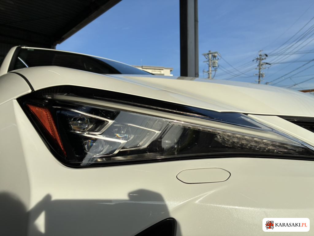 Lexus Ux 2021 z aukcji japońskiej