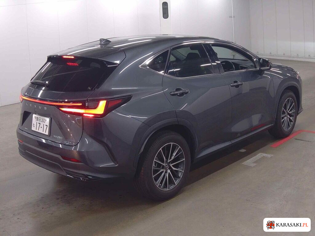 Lexus NX 2022 z aukcji japońskiej
