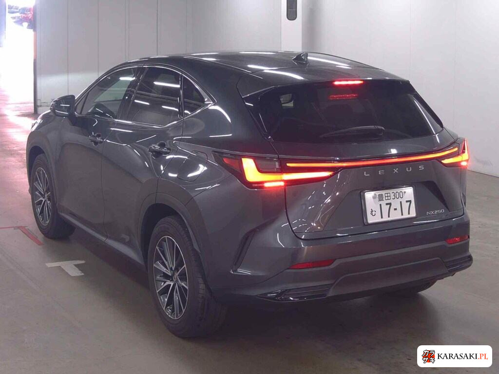 Lexus NX 2022 z aukcji japońskiej