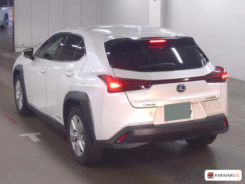 Lexus Ux 2019 z aukcji japońskiej