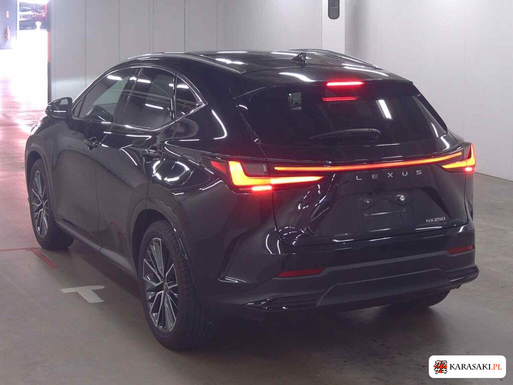Lexus NX 2024 z aukcji japońskiej