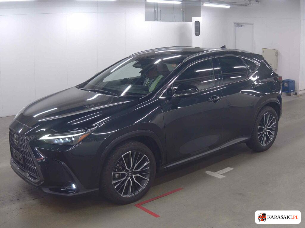 Lexus NX 2024 z aukcji japońskiej