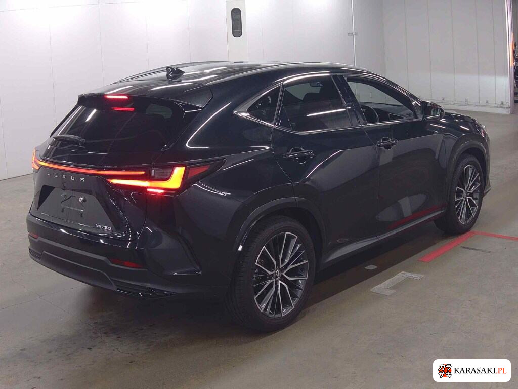 Lexus NX 2024 z aukcji japońskiej
