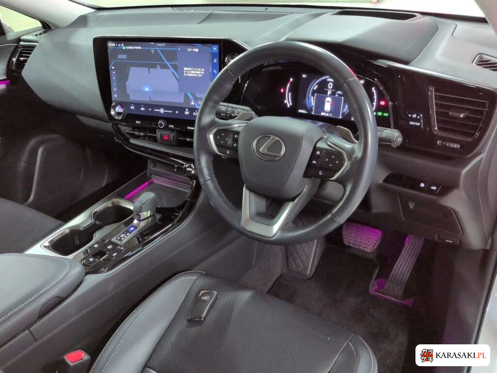 2022 Lexus NX NX350H Version L 5