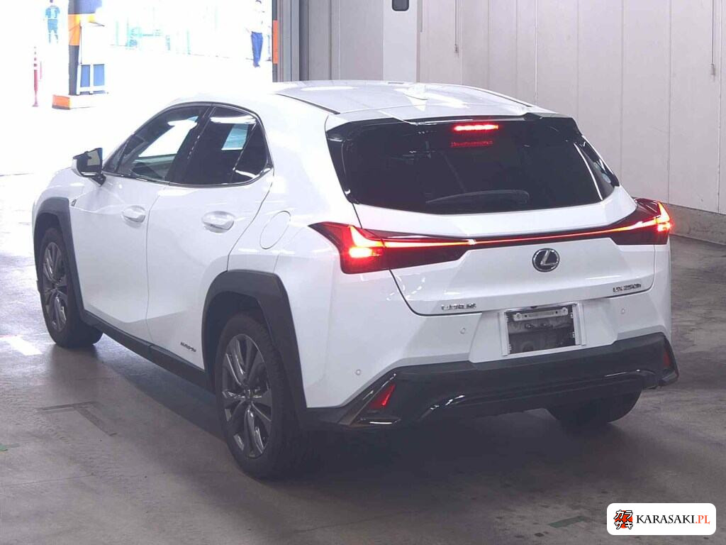 Lexus Ux 2019 z aukcji japońskiej