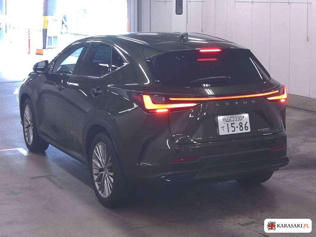 Lexus NX 2023 z aukcji japońskiej