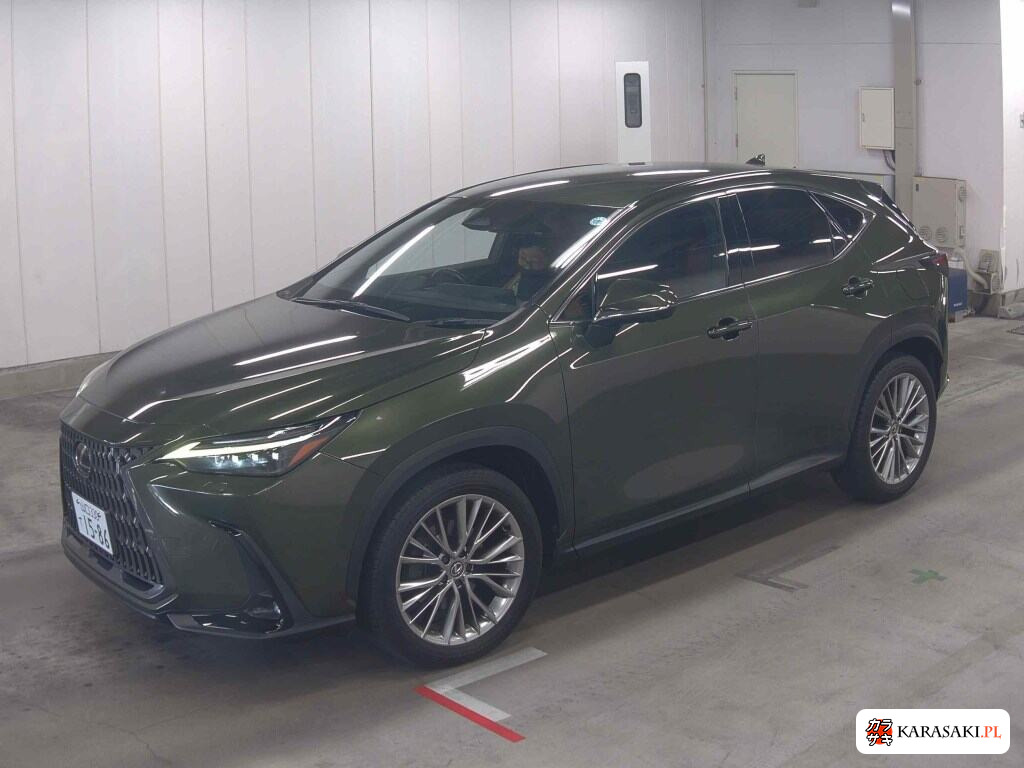 Lexus NX 2023 z aukcji japońskiej