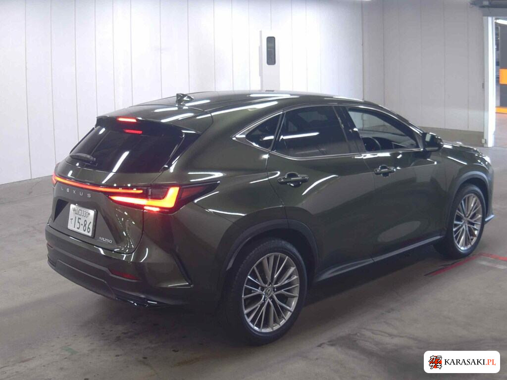 Lexus NX 2023 z aukcji japońskiej