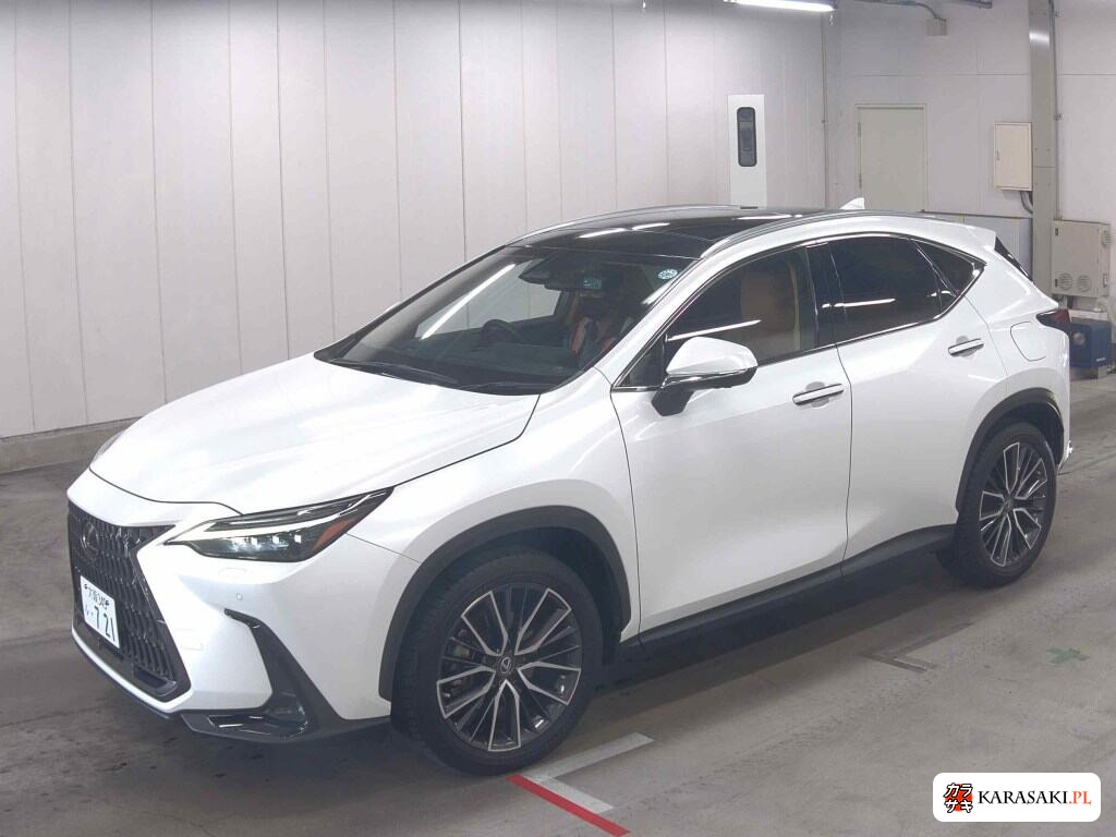 Lexus NX 2022 z aukcji japońskiej