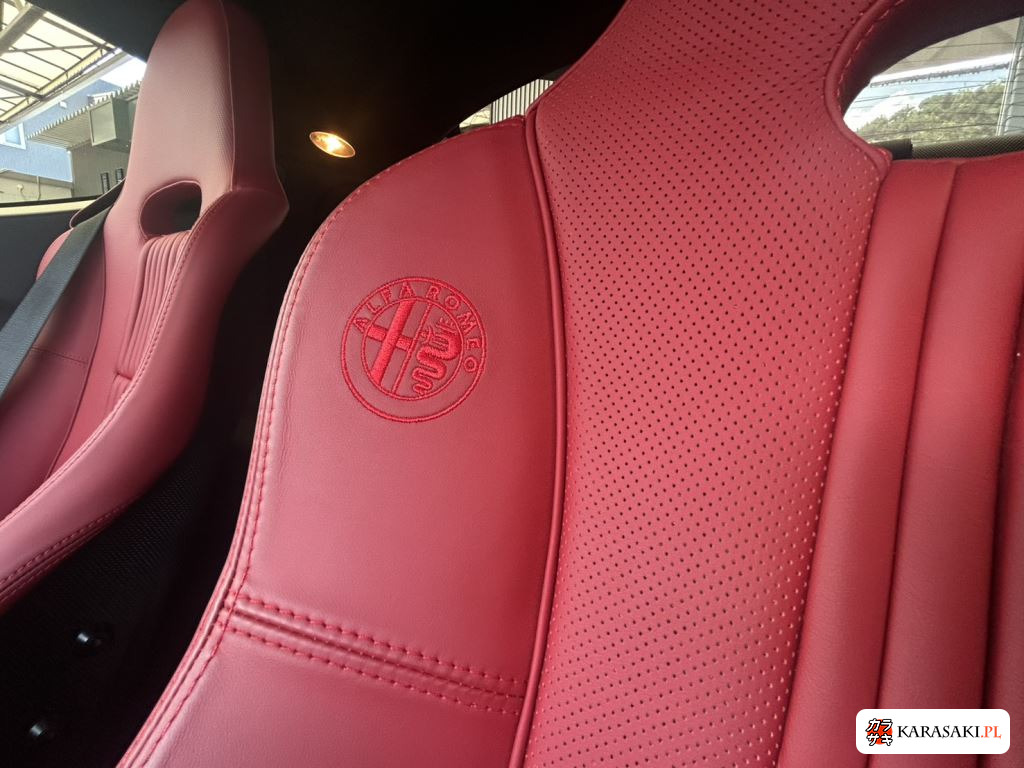 Alfa Romeo 8C Competizione 2009 z aukcji japońskiej