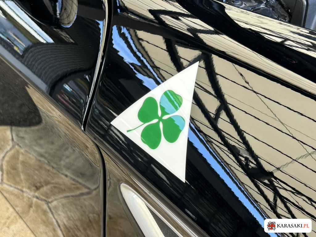 Alfa Romeo 8C Competizione 2009 z aukcji japońskiej