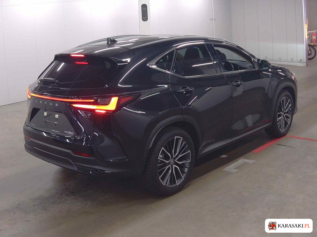 Lexus NX 2024 z aukcji japońskiej