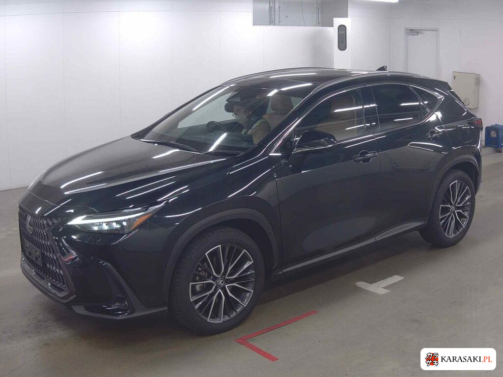 Lexus NX 2024 z aukcji japońskiej