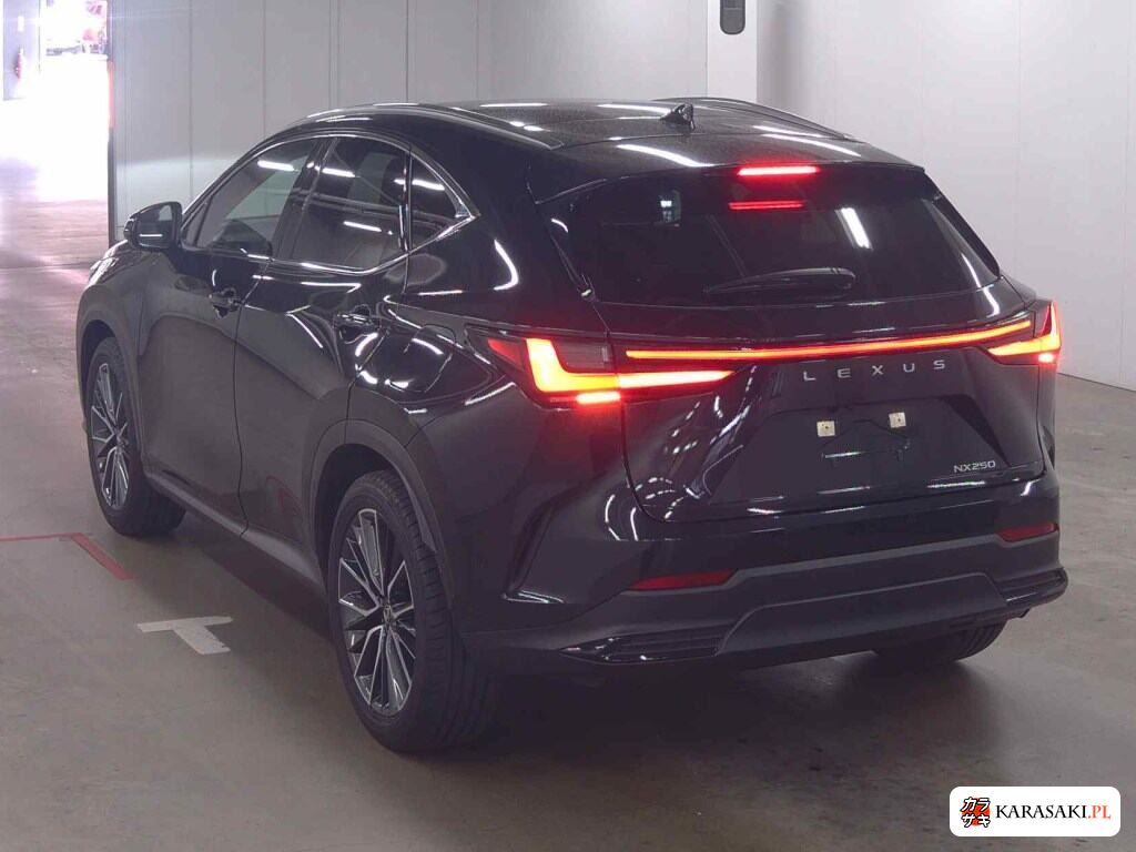 Lexus NX 2024 z aukcji japońskiej