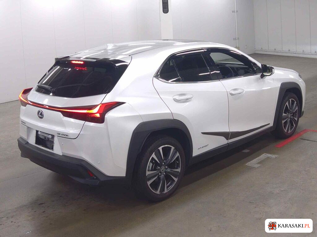 Lexus Ux 2021 z aukcji japońskiej