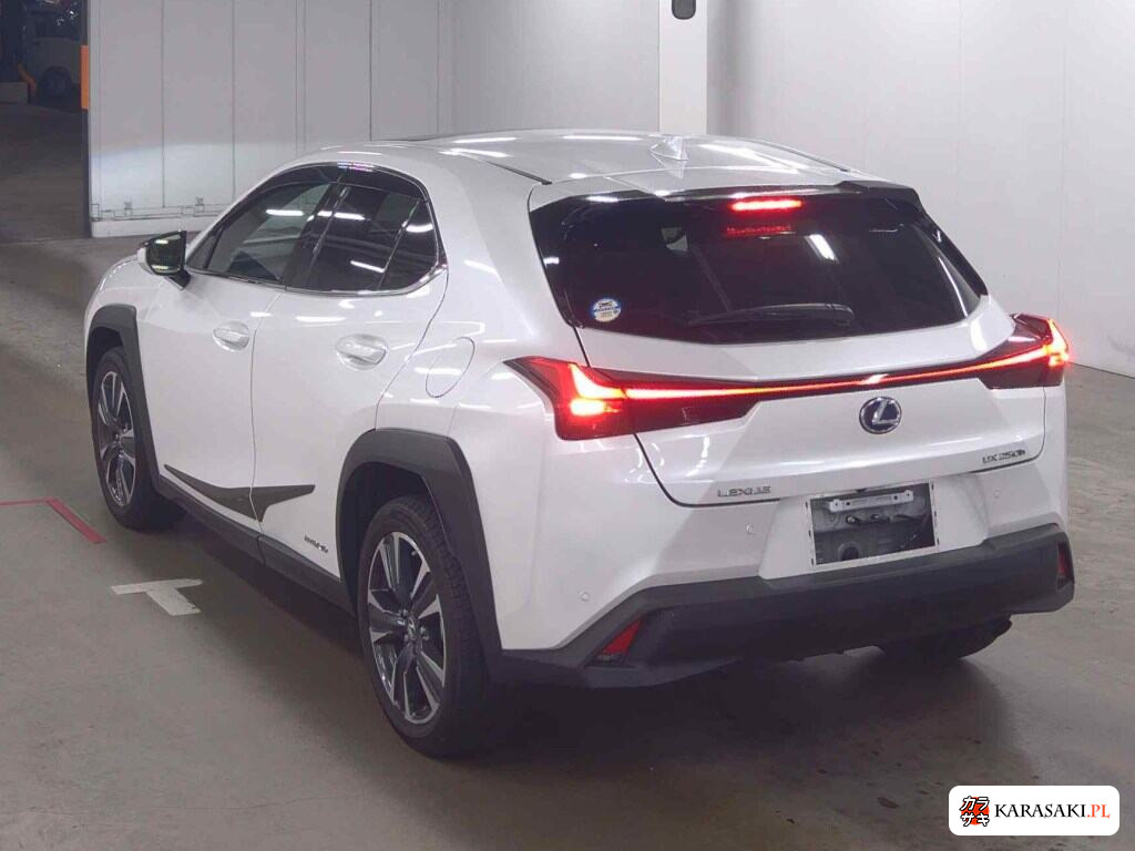 Lexus Ux 2021 z aukcji japońskiej