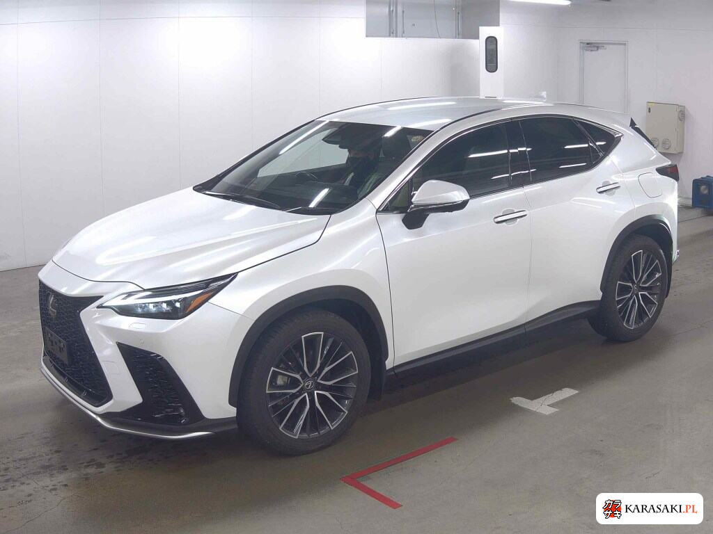 Lexus NX 2023 z aukcji japońskiej