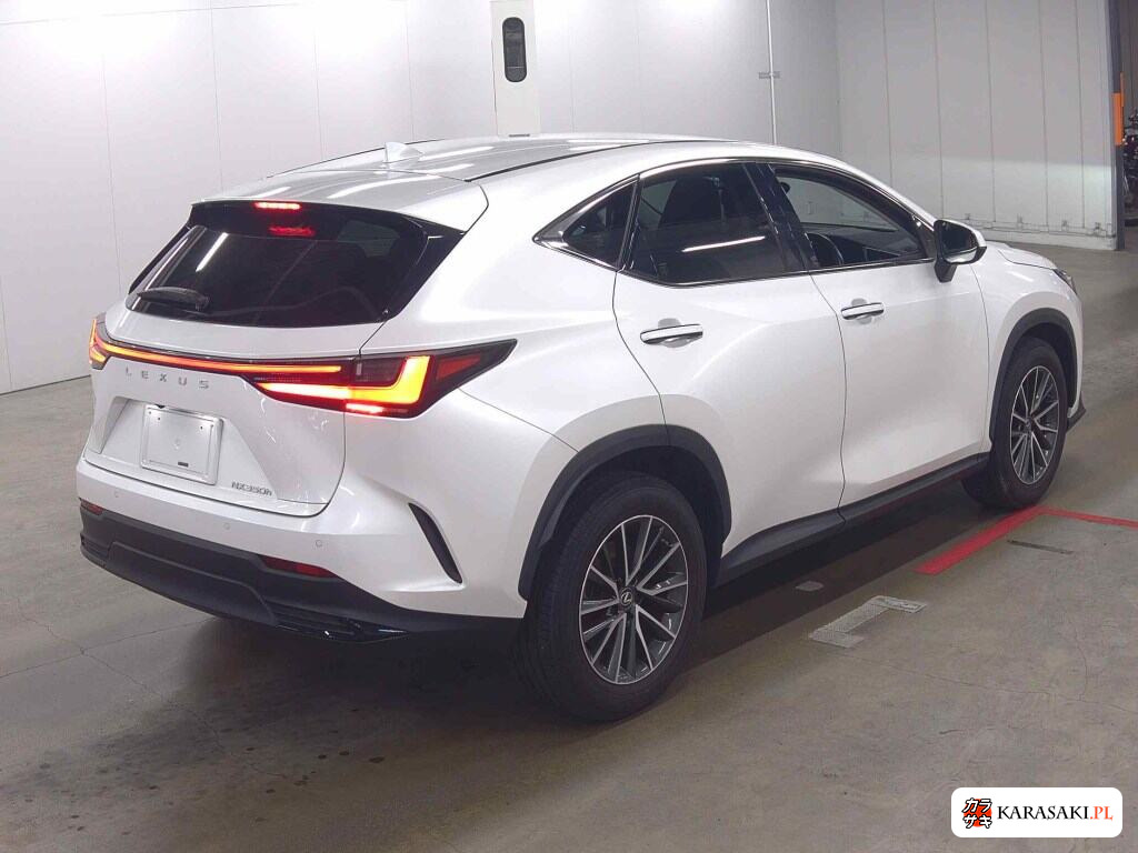 Lexus NX 2023 z aukcji japońskiej