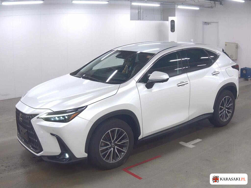 Lexus NX 2023 z aukcji japońskiej