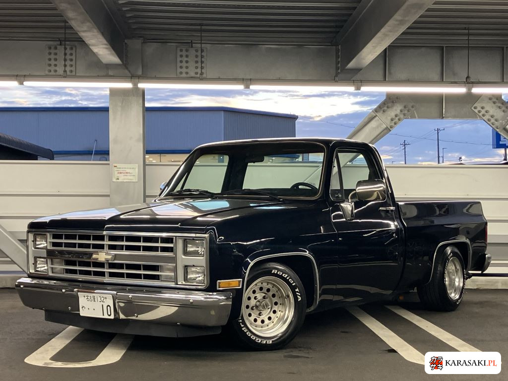1994 Chevrolet C-10 Base Grade 9