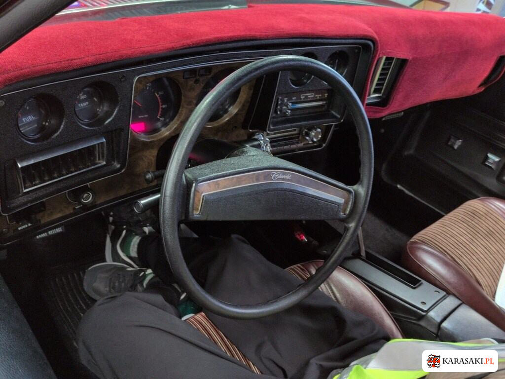 1975 Chevrolet Monte Carlo 5