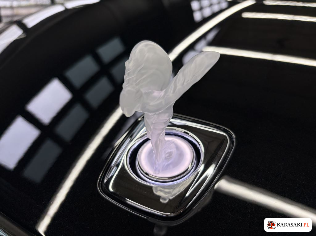 2024 Rolls-Royce Spectre 4WD Base Grade 8
