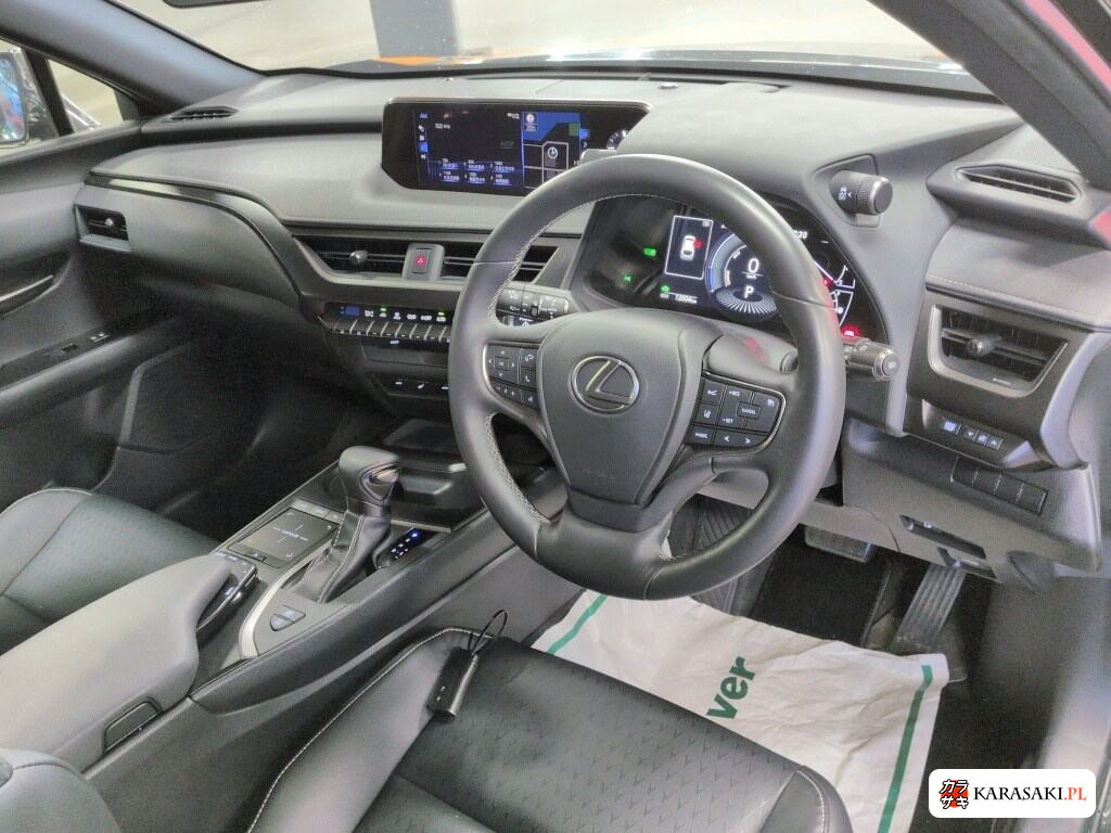 2020 Lexus Ux UX250H Version C 5