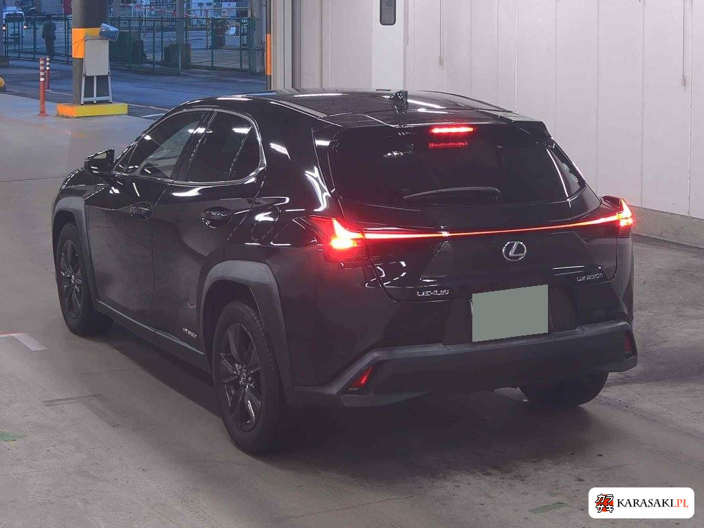 2020 Lexus Ux UX250H Version C 2
