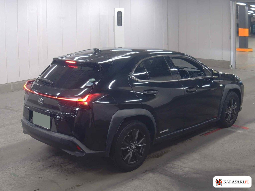 2020 Lexus Ux UX250H Version C 4
