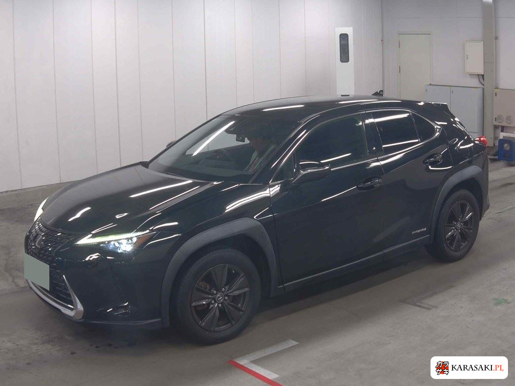 2020 Lexus Ux UX250H Version C 3