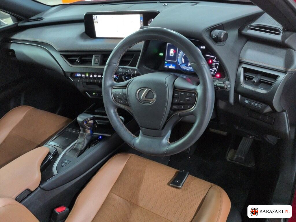 2020 Lexus Ux UX250H Version L 5