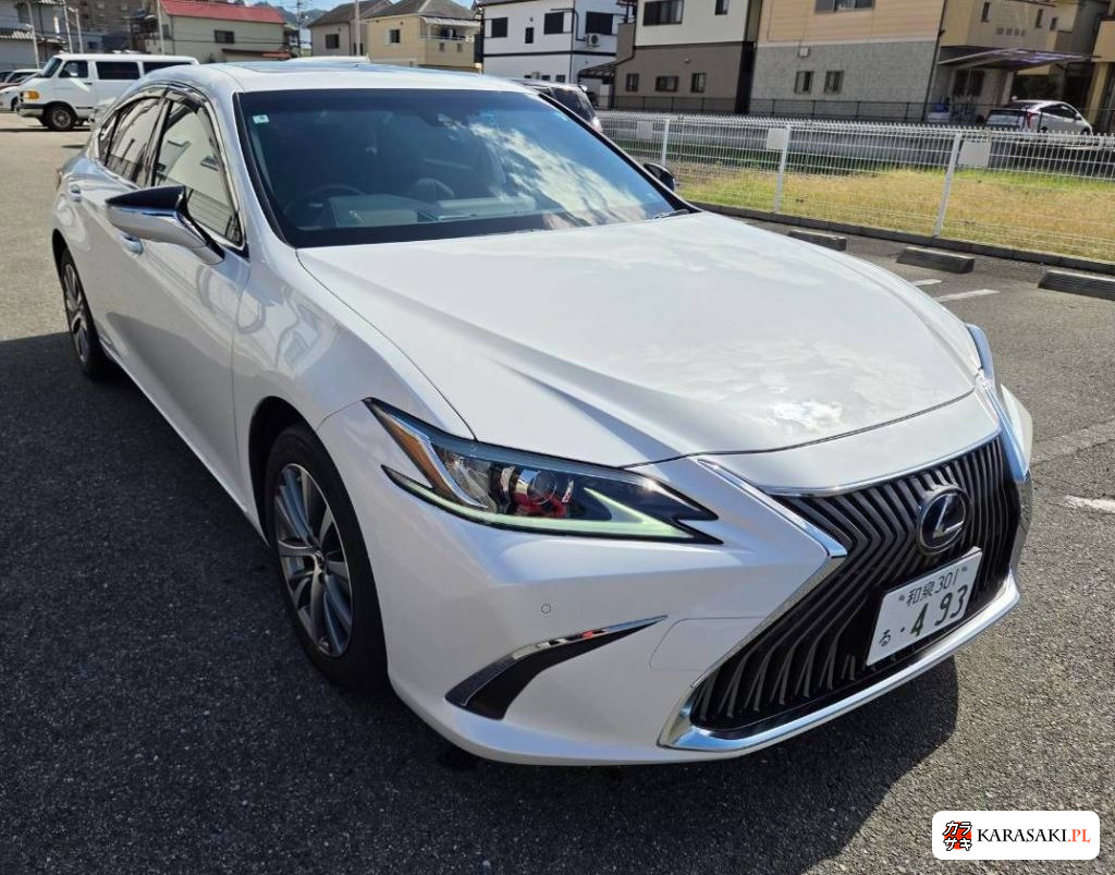 2021 Lexus Es ES300H 9
