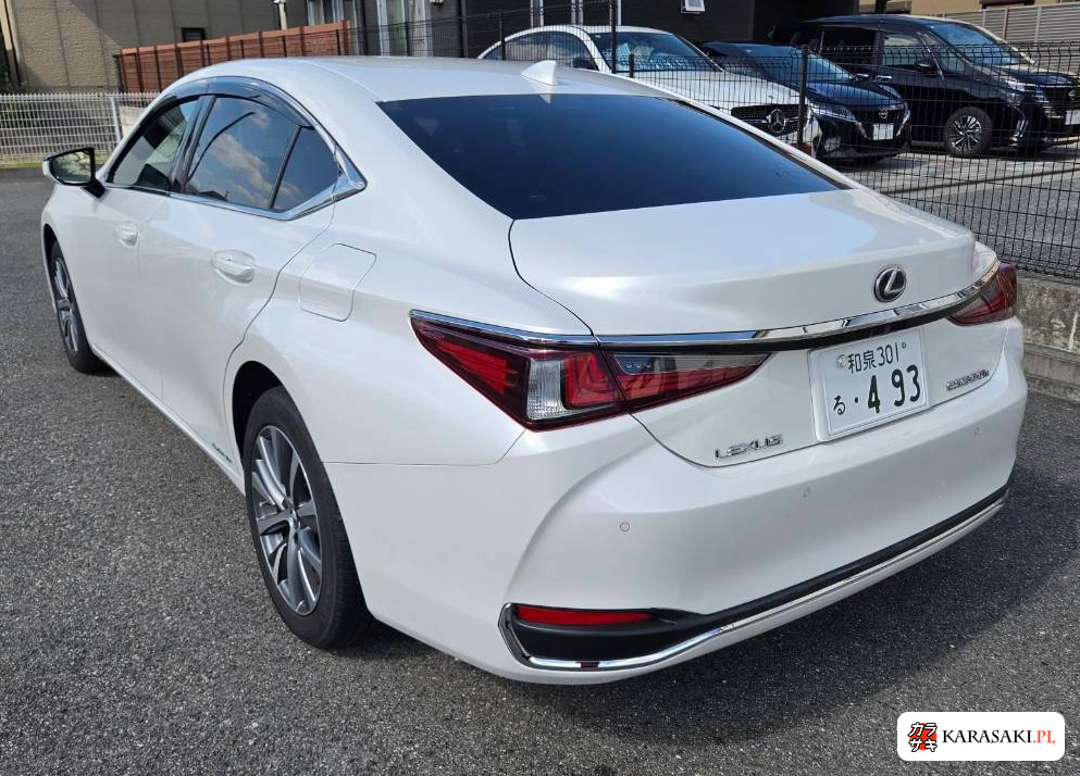 2021 Lexus Es ES300H 10