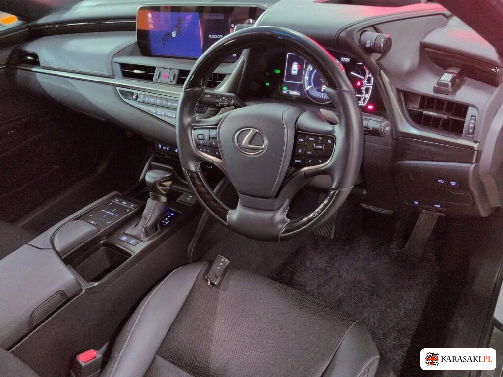 2021 Lexus Es ES300H 5