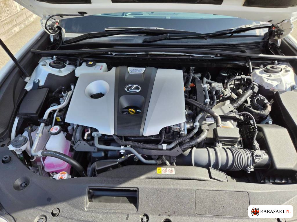 2021 Lexus Es ES300H 8