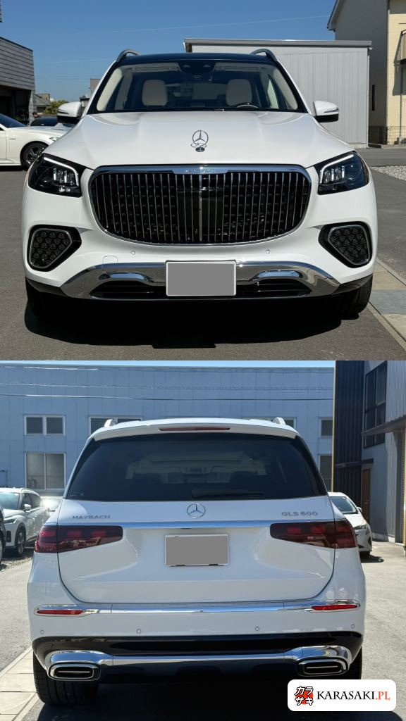 2024 Mercedes-Maybach GLS-Class 4WD GLS600 4MATIC Isg Model 10