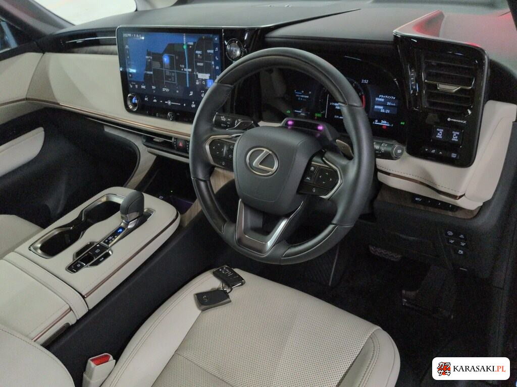 2025 Lexus LM 4WD LM500H Version L 5