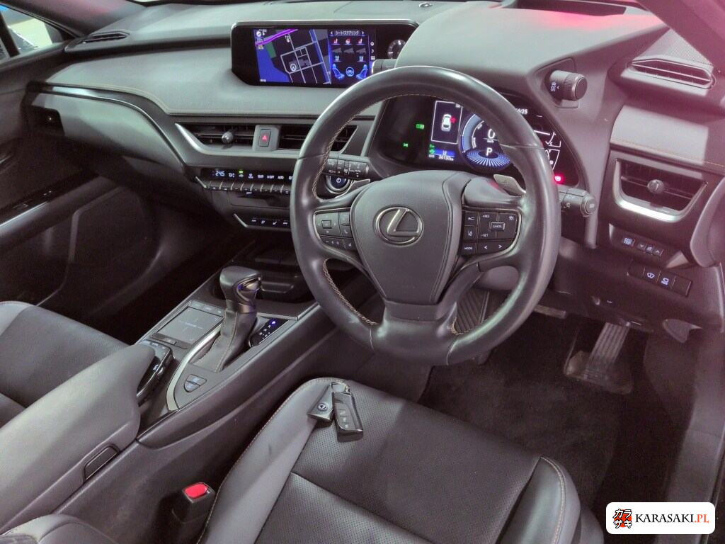 2021 Lexus Ux UX250H Elegant Black 5