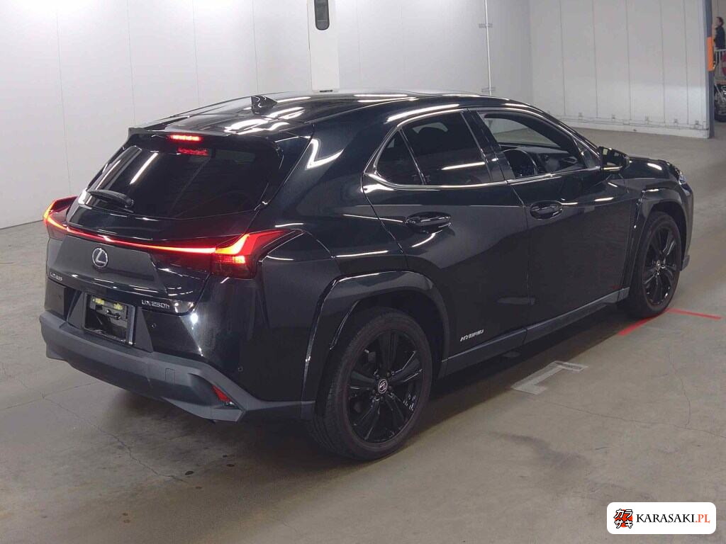 2021 Lexus Ux UX250H Elegant Black 4
